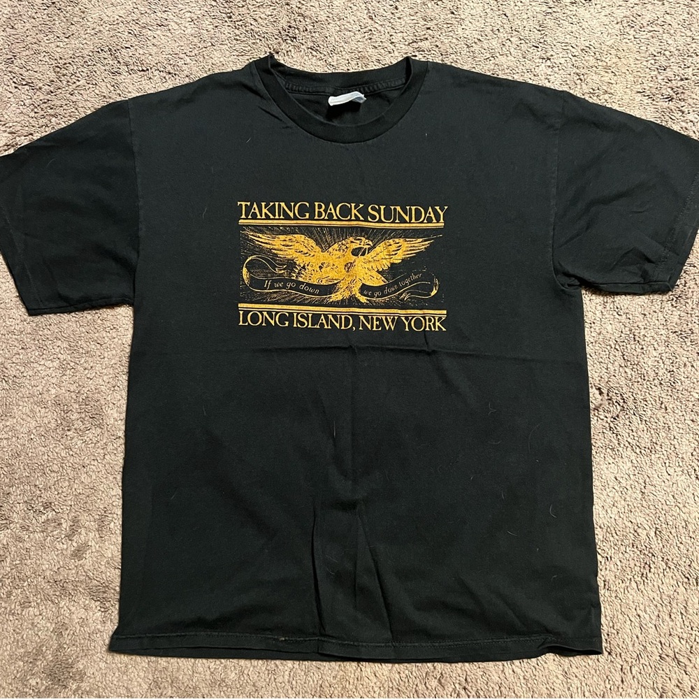 Vintage Taking Back Sunday band tee